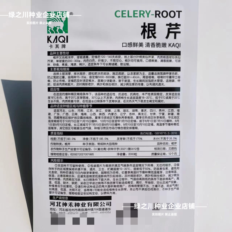 地中海根芹种子二年生蔬菜种子根洋芹芹菜种子球茎芹菜根种籽