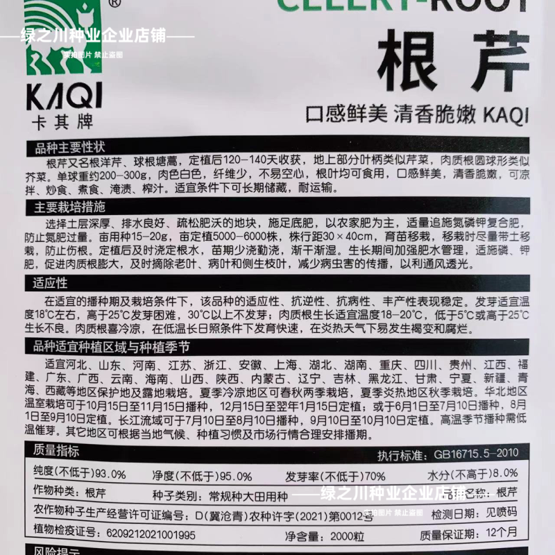 地中海根芹种子二年生蔬菜种子根洋芹芹菜种子球茎芹菜根种籽