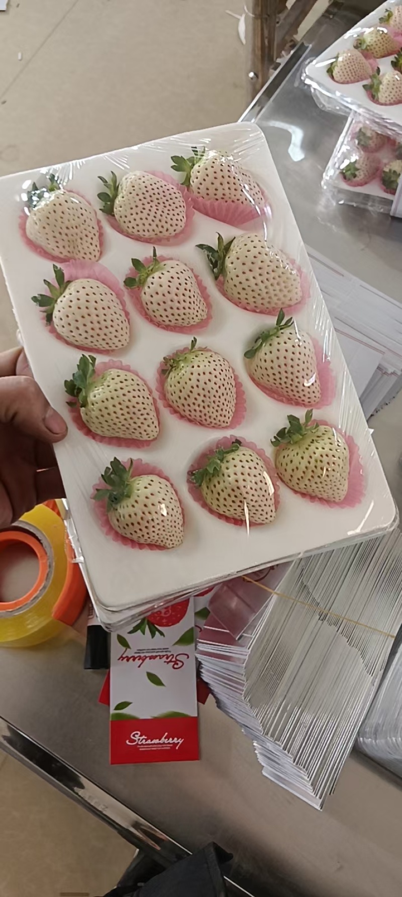 产地白草莓大量上市中，质量口感起飞！欢迎各大老板前来合作