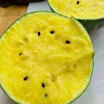 广东特小凤头插