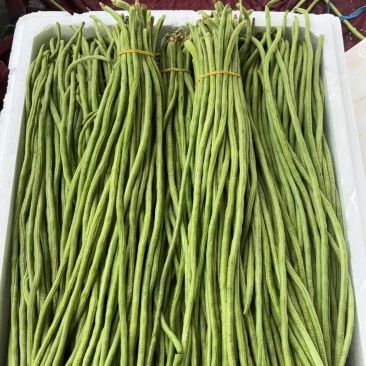 长豆角