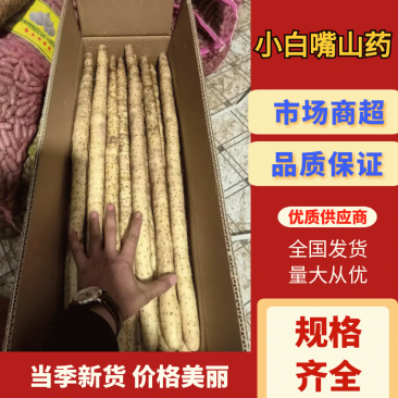 （产地直供）小白嘴山药，铁棍山药，双棒，紫药，白玉。
