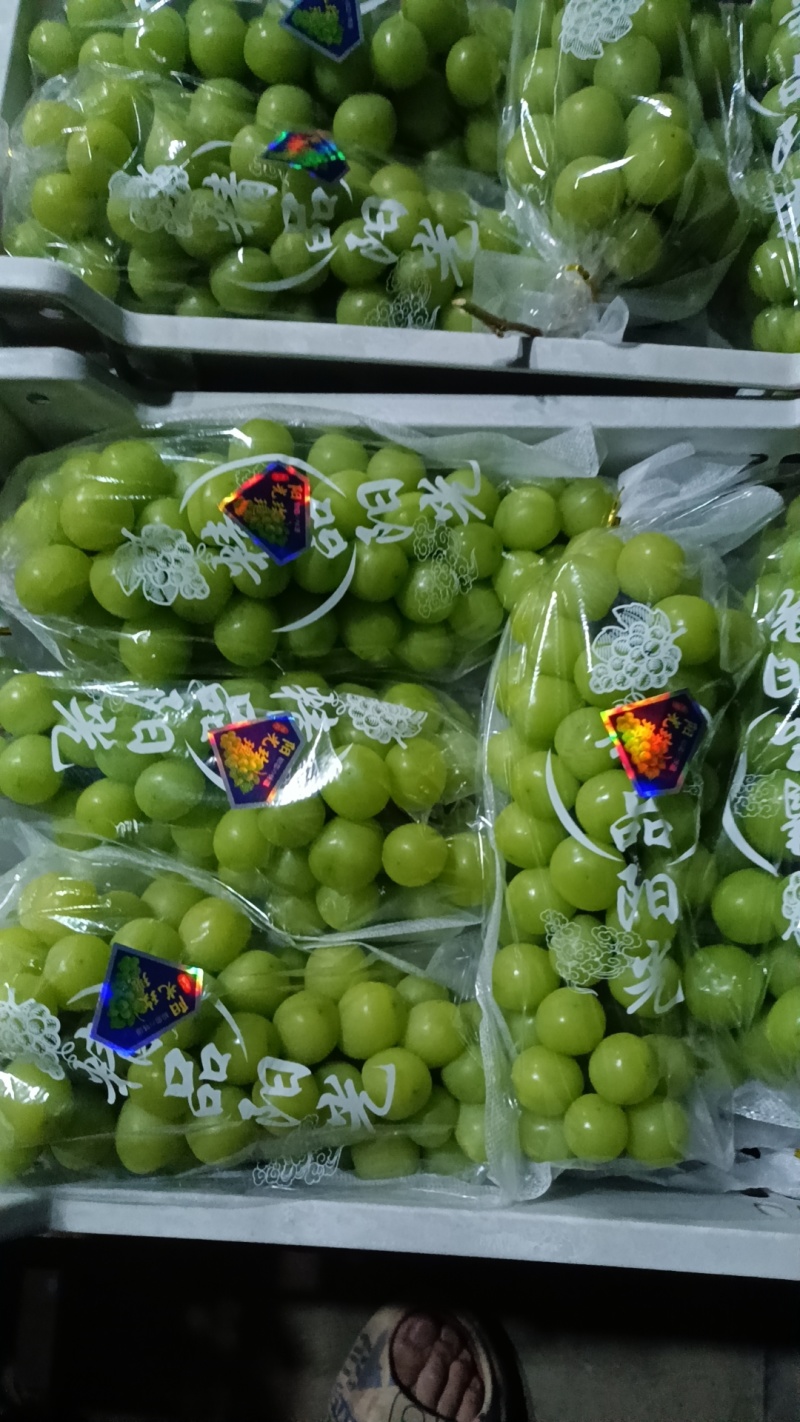 陕西阳光玫瑰葡萄一手货源品质好诚信经营货发全国