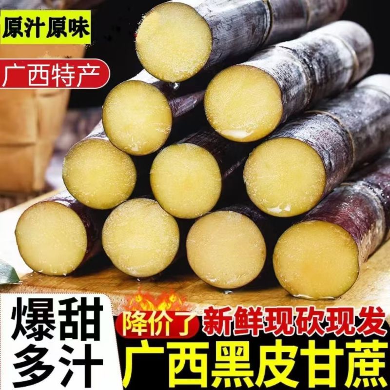 蔗里时光，清甜悠长在岭南的沃野之上，黑甘蔗宛如大地馈赠