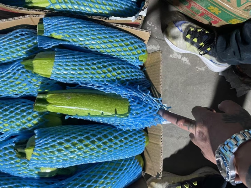 【人气旺】山东西葫芦现场看货挑货满意为止网袋纸箱框子都有