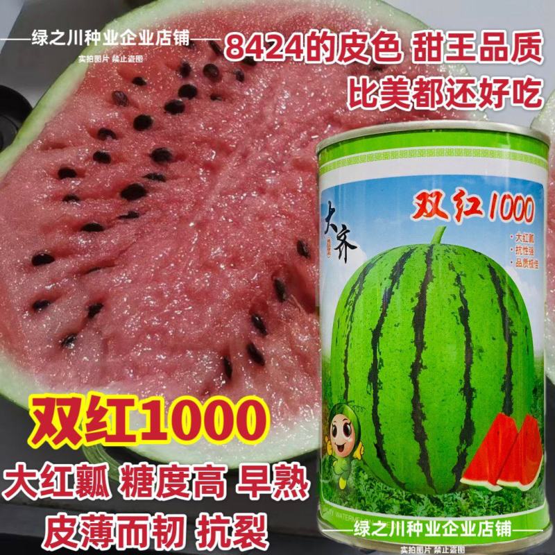 大齐双红1000西瓜种子超甜大果薄皮早熟抗病高产果实正圆
