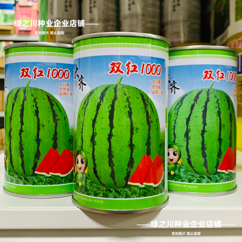 大齐双红1000西瓜种子超甜大果薄皮早熟抗病高产果实正圆