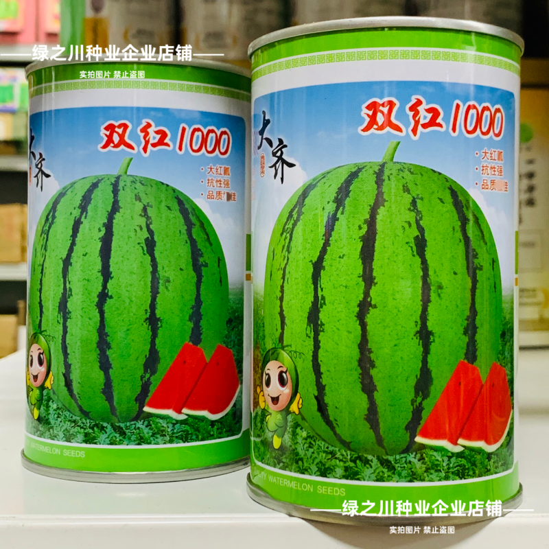 大齐双红1000西瓜种子超甜大果薄皮早熟抗病高产果实正圆