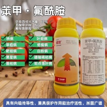 巴斯夫健攻苯甲氟酰胺黑星病白粉病叶斑叶枯疫病进口杀菌剂