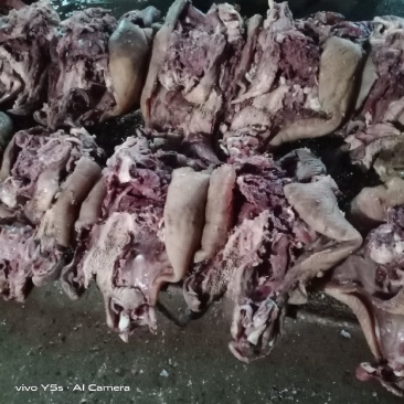 五香大公牛牛头肉