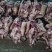 五香大公牛牛头肉