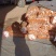 精品黄心小土豆对接全国量大从优质量保证欢迎咨询