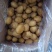 精品黄心小土豆对接全国量大从优质量保证欢迎咨询