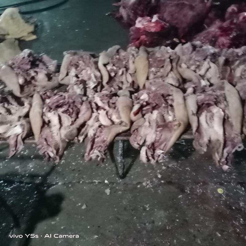 五香大公牛牛头肉