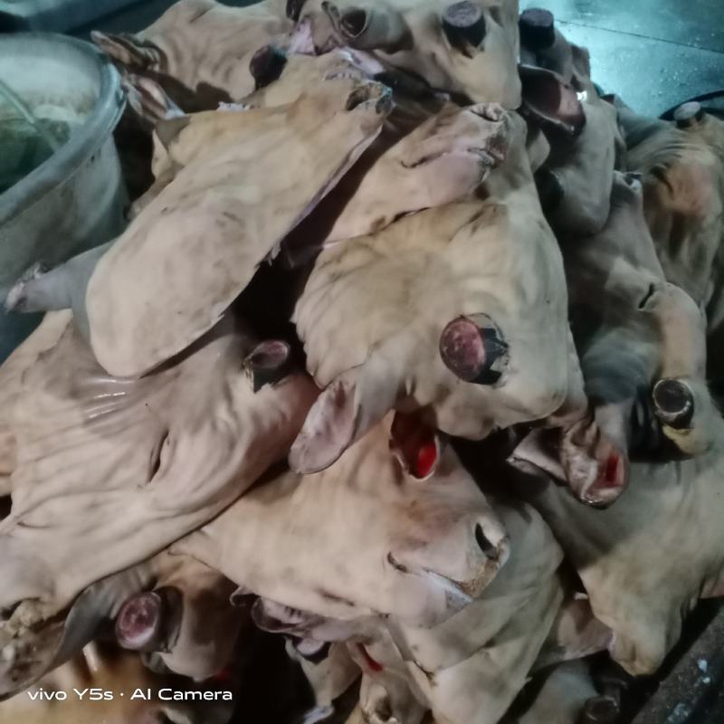 五香大公牛牛头肉