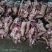 五香大公牛牛头肉