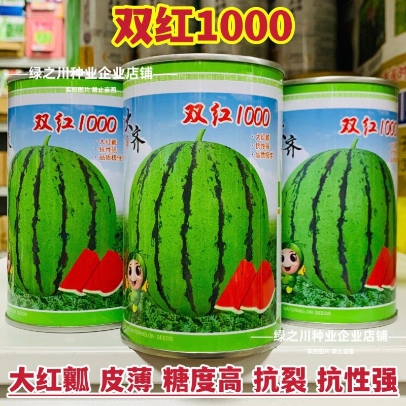双红1000西瓜种子大齐早熟特甜西瓜种子花皮大红瓤抗裂