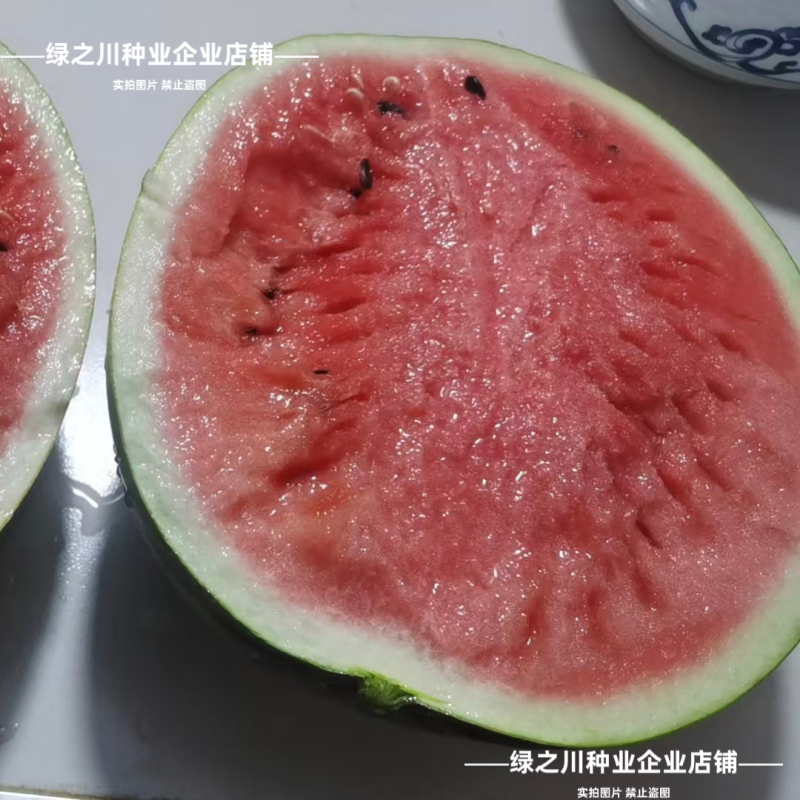 双红1000西瓜种子大齐早熟特甜西瓜种子花皮大红瓤抗裂
