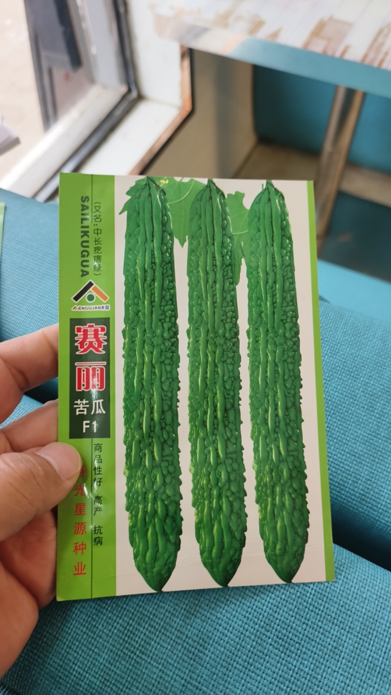 苦瓜种子疙瘩绿苦瓜种子赛丽苦瓜能与国外同类品种好种