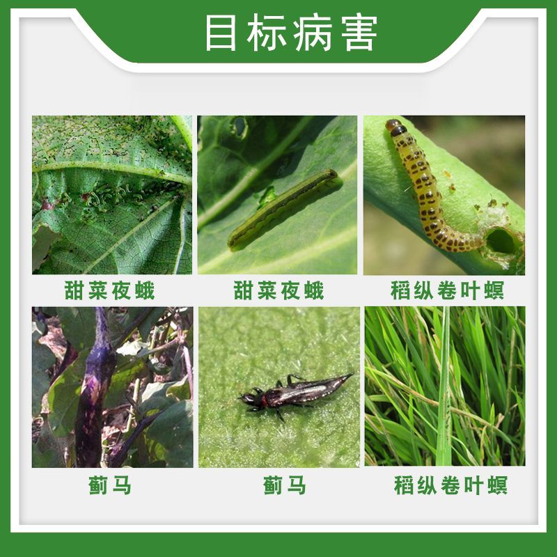 陶氏益农艾绿士科迪华乙基多杀菌素蓟马夜蛾果蝇农药杀虫剂