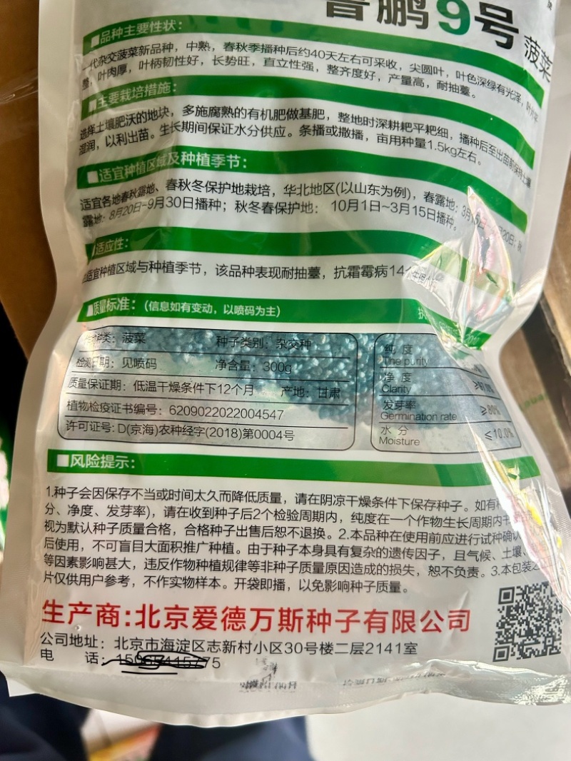鲁鹏9号菠菜种子春秋季尖圆叶菠菜籽直立耐抽薹深绿色