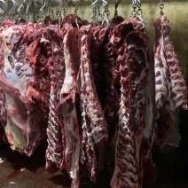 批发牛肉品质好价格低每天新鲜屠宰大量现货