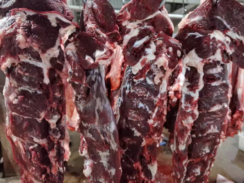 批发牛肉品质好价格低每天新鲜屠宰大量现货