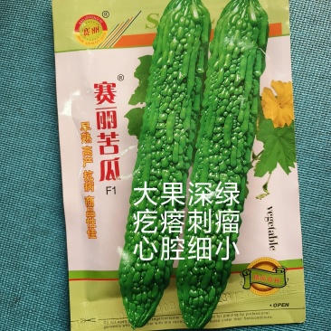 苦瓜种子疙瘩绿苦瓜种子赛丽苦瓜能与国外同类品种好种