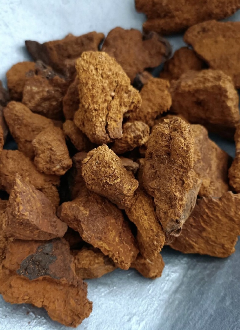 桦树茸，新货实拍现货产地直发，24小时内发货