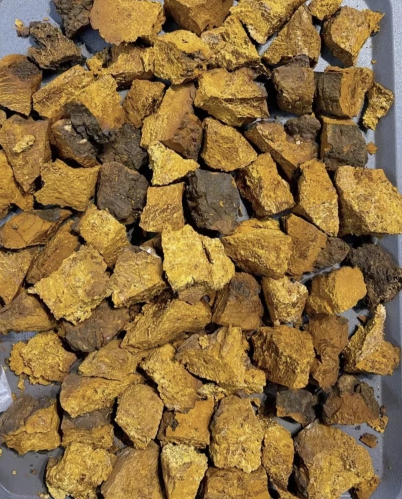 桦树茸，新货实拍现货产地直发，24小时内发货