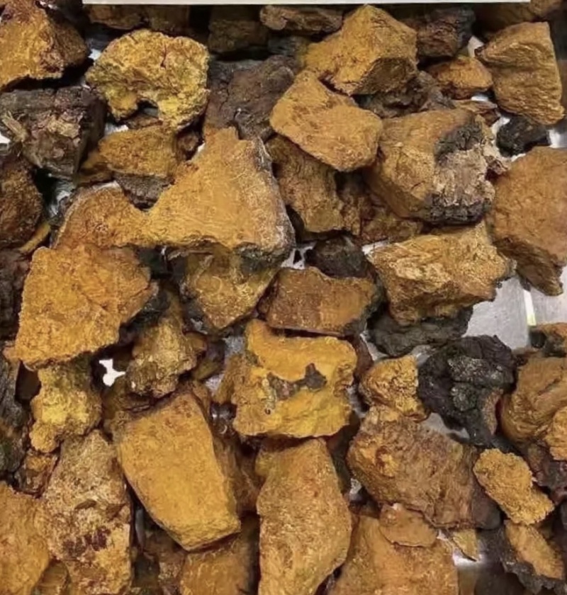 桦树茸，新货实拍现货产地直发，24小时内发货