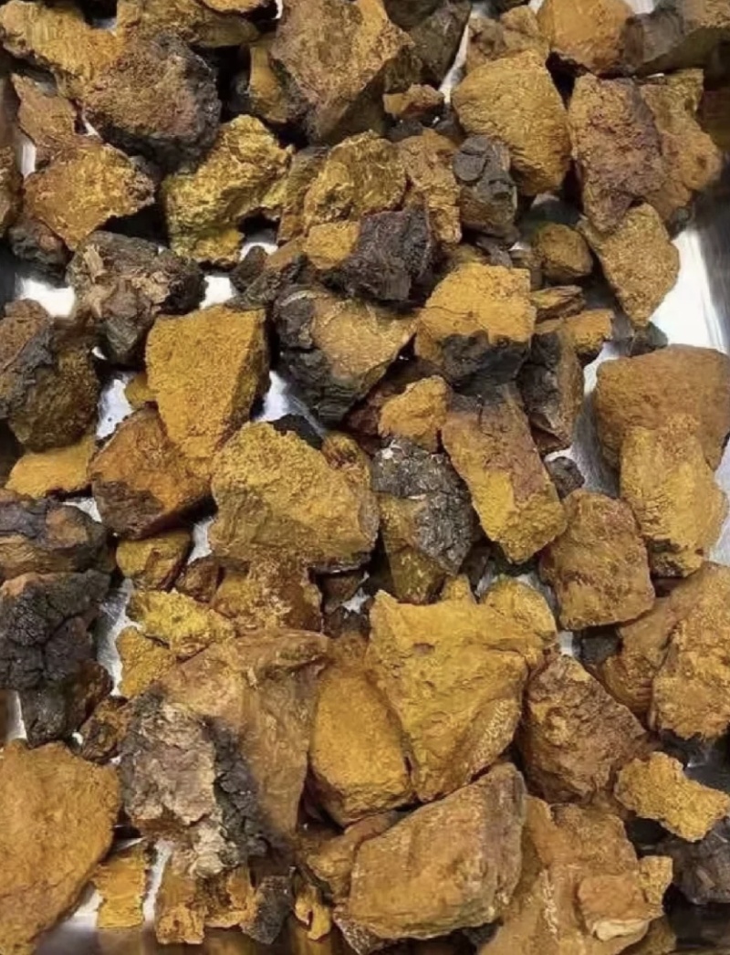 桦树茸，新货实拍现货产地直发，24小时内发货