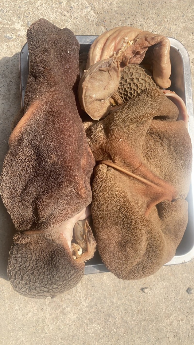 全熟羊头肉羊心肝肺羊肠羊肚