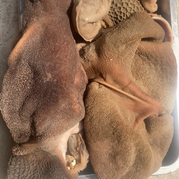 全熟羊头肉羊心肝肺羊肠羊肚