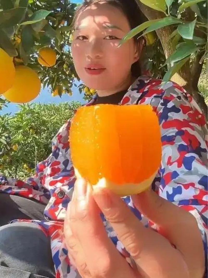 湖北秭归九月红脐橙化渣味甜九月红果冻橙果园看货现摘