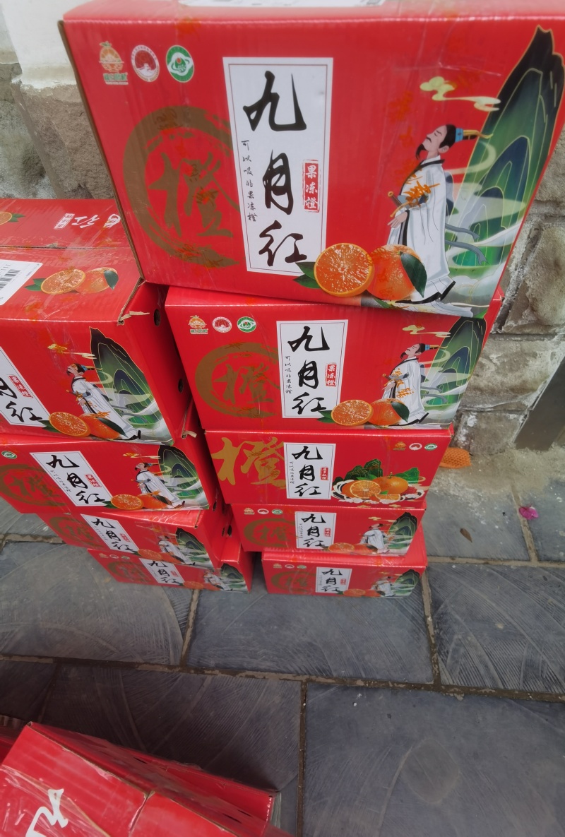 湖北秭归九月红脐橙化渣味甜九月红果冻橙果园看货现摘