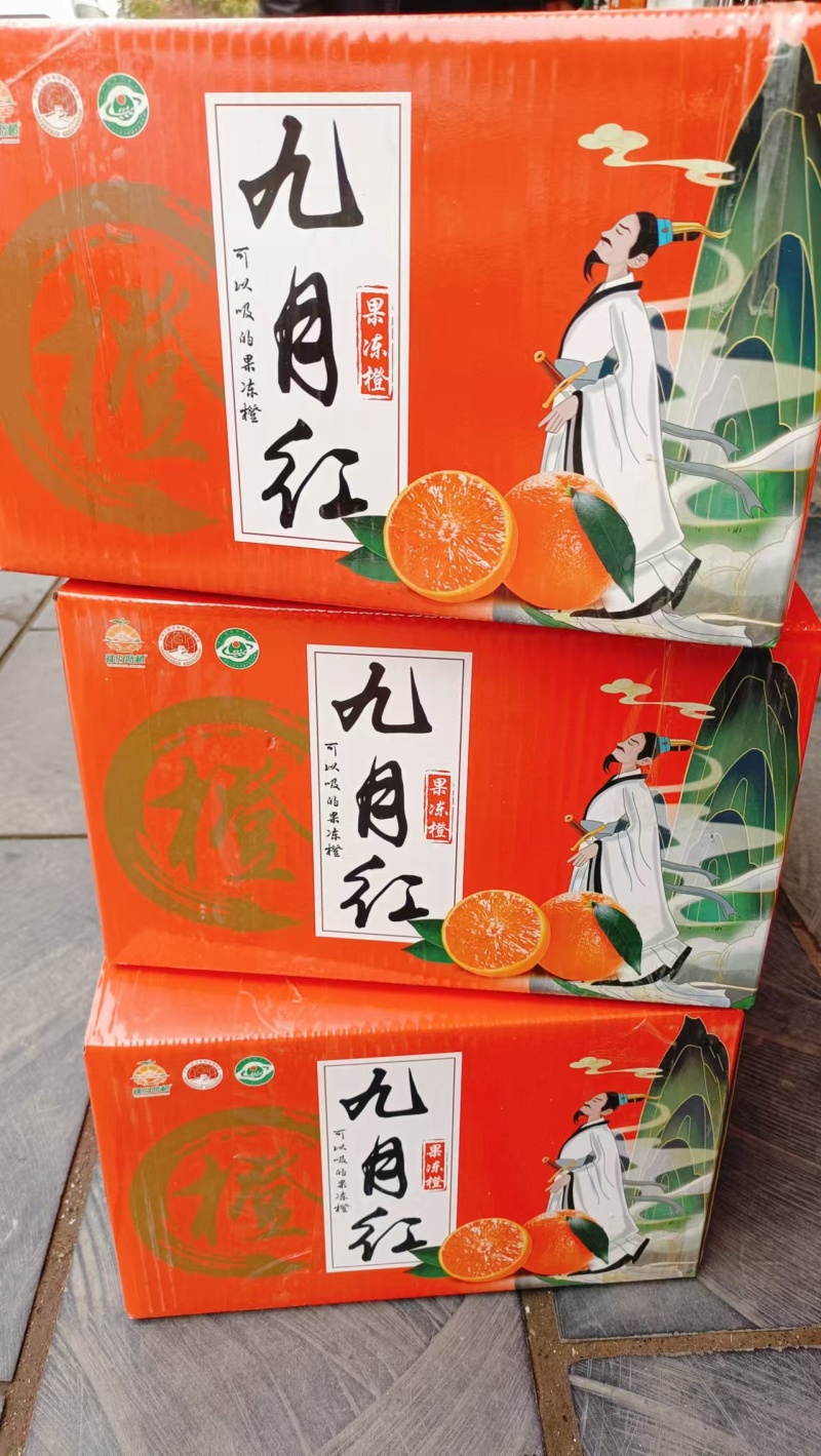 湖北秭归九月红脐橙化渣味甜九月红果冻橙果园看货现摘
