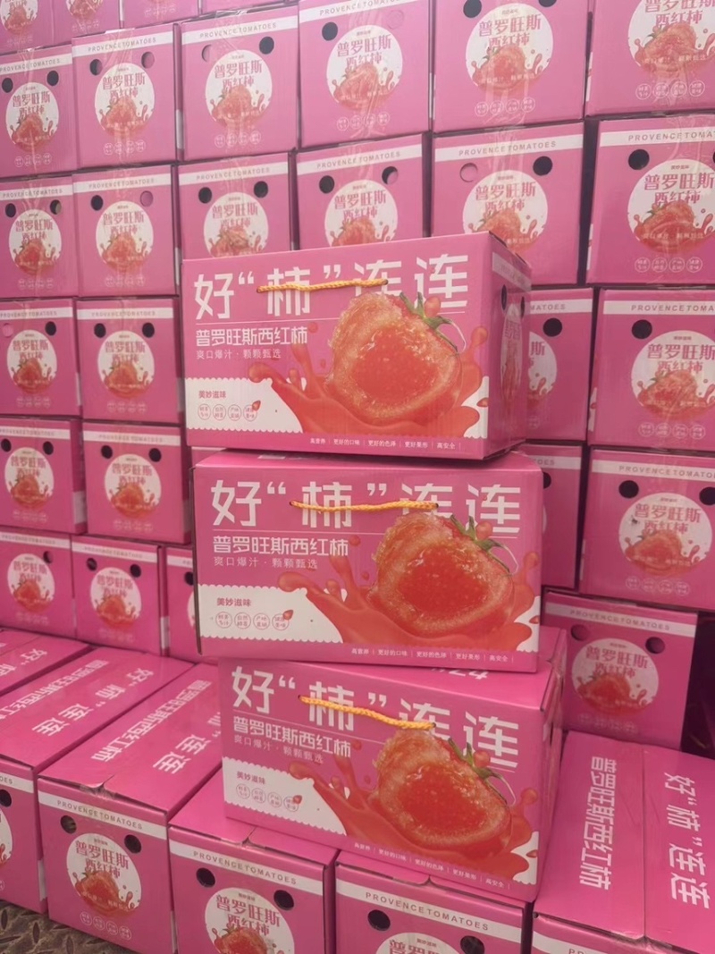 海阳普罗旺斯西红柿口感型落地配一件代发整车批发