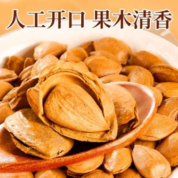 开口杏核产地直发质量保证诚信经营量大从优货源充