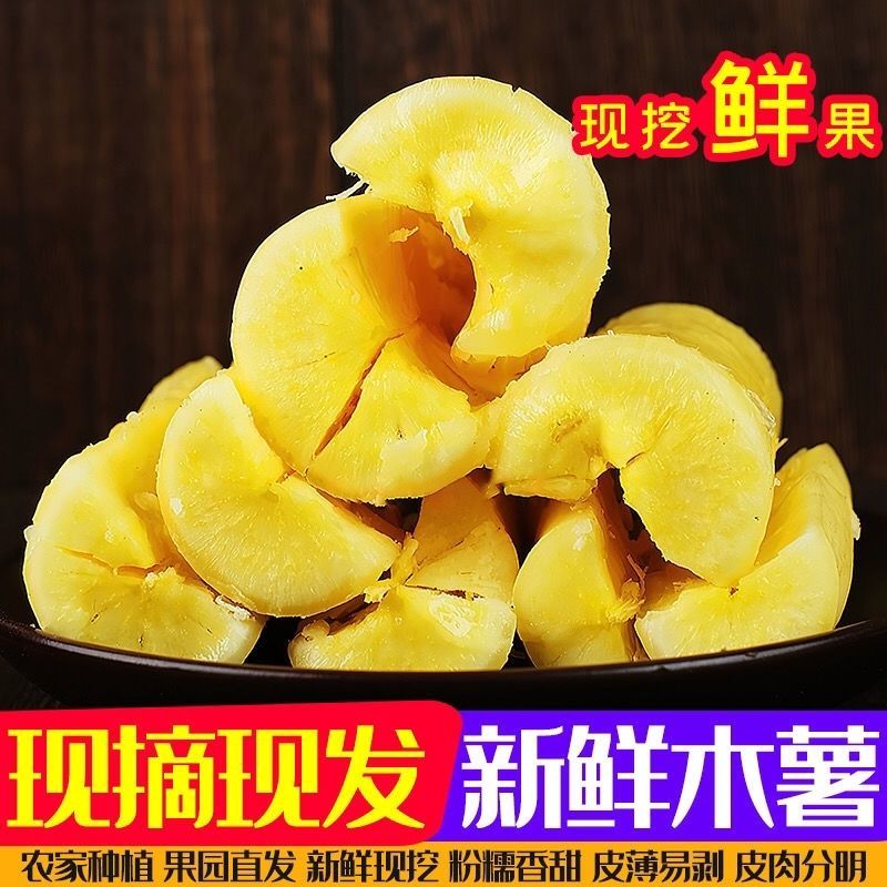 新鲜黄肉黄心木薯当天挖