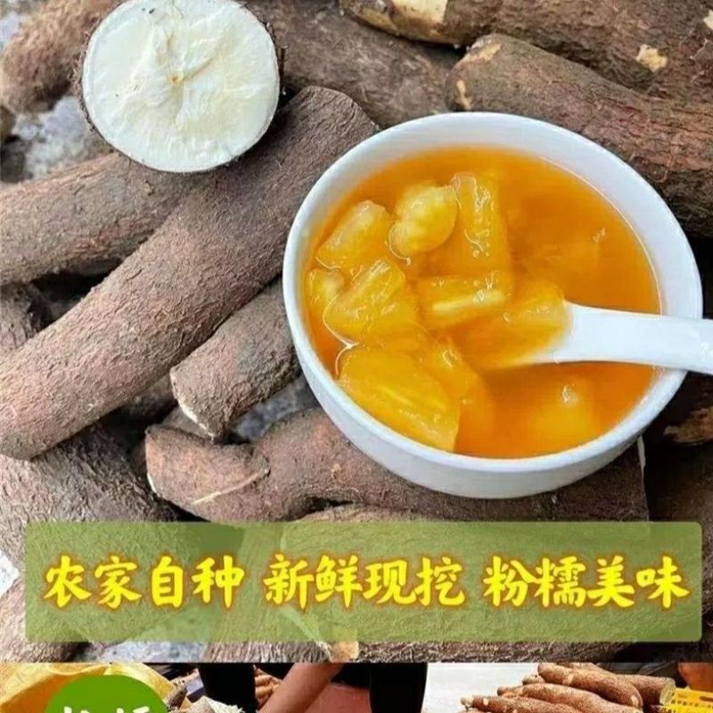 新鲜黄肉黄心木薯当天挖