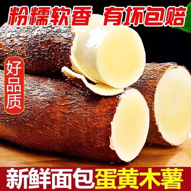 新鲜黄肉黄心木薯当天挖