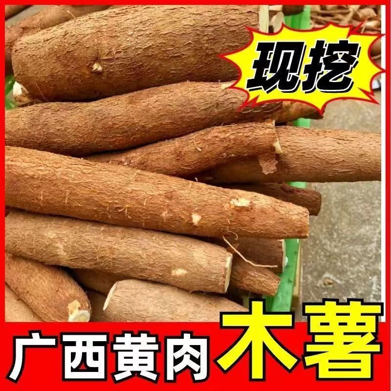 新鲜黄肉黄心木薯当天挖