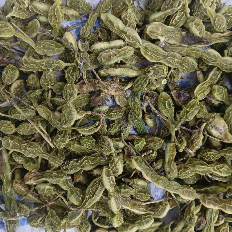 槐角大量有货，量大优惠，欢迎新老客户前来合作