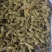 槐角大量有货，量大优惠，欢迎新老客户前来合作