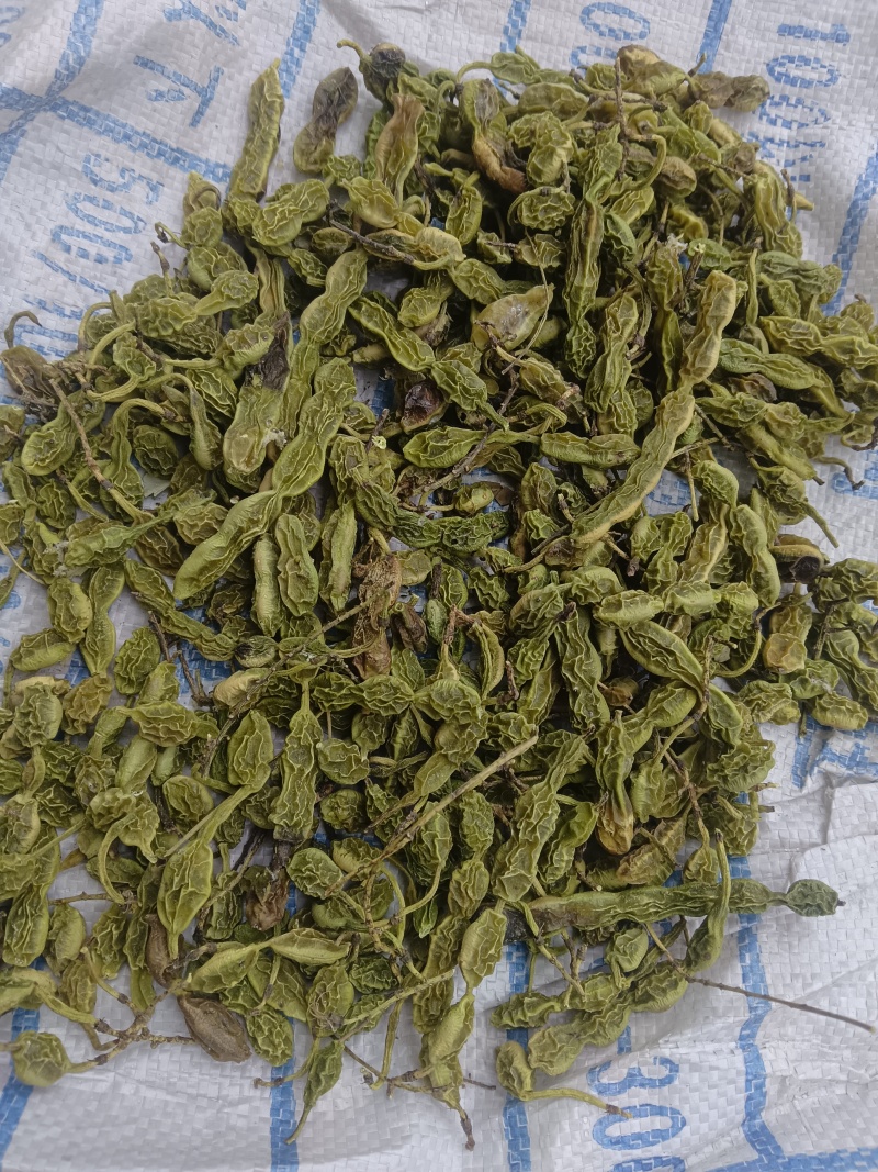 槐角大量有货，量大优惠，欢迎新老客户前来合作
