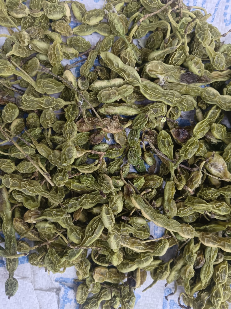 槐角大量有货，量大优惠，欢迎新老客户前来合作