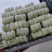 东台优质精品大娃娃菜大量上市中，质量好，价格便宜