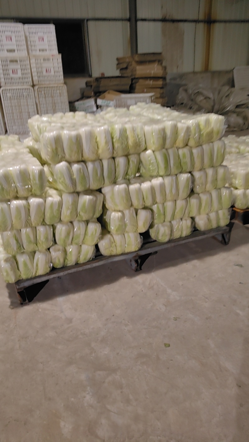 东台优质精品大娃娃菜大量上市中，质量好，价格便宜