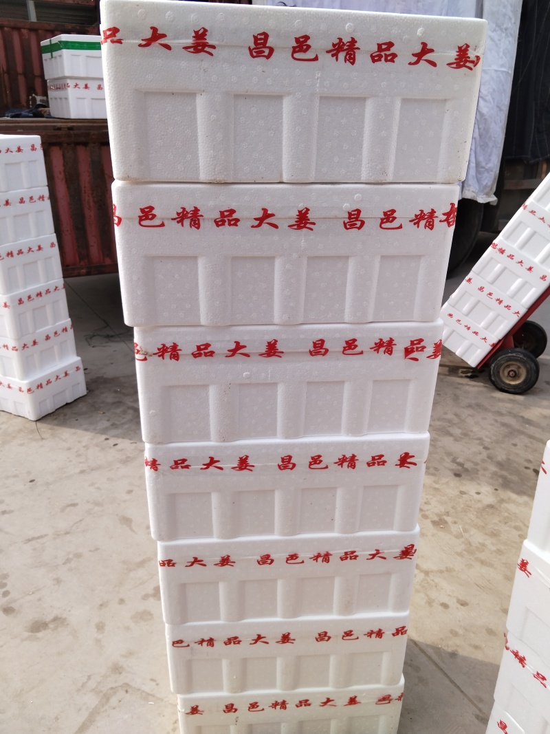 山东昌邑胖孩大黄姜大量上市电商市场商超货源